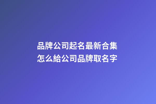 品牌公司起名最新合集 怎么給公司品牌取名字-第1張-公司起名-玄機派